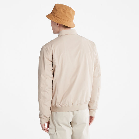 Timberland Mens Men's Stratham Winter Bomber Jacket in Beige