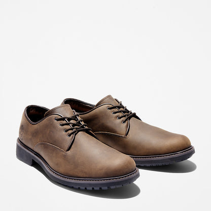Timberland Mens Stormbucks Oxford for Men in Dark Brown