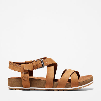 Brown,US 5,102