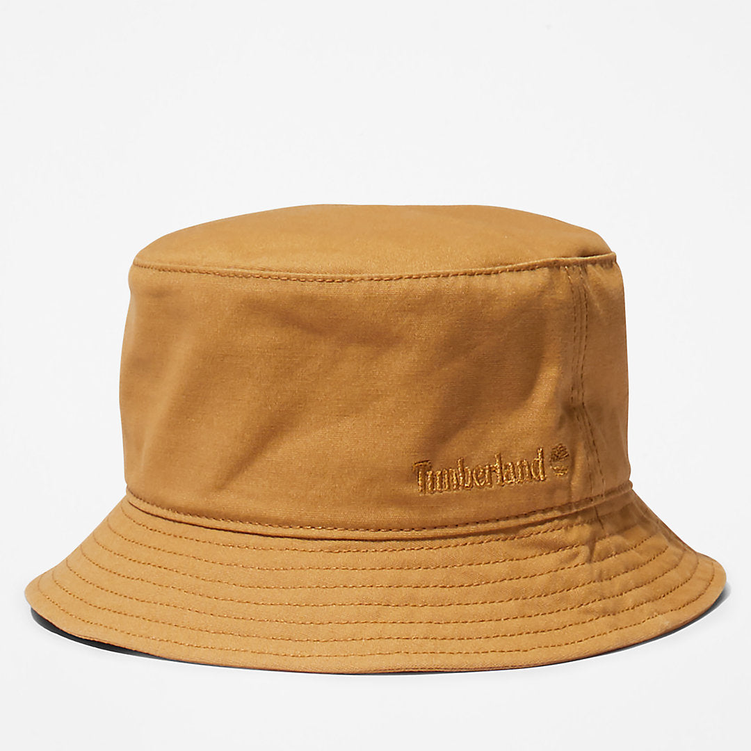 Light Brown,SM,41