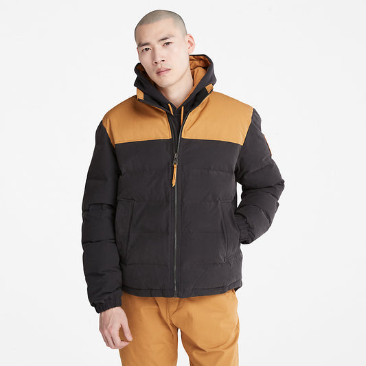 Timberland Mens Welch Mountain Puffer Jacket for Men in Black