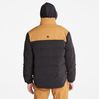 Timberland Mens Welch Mountain Puffer Jacket for Men in Black