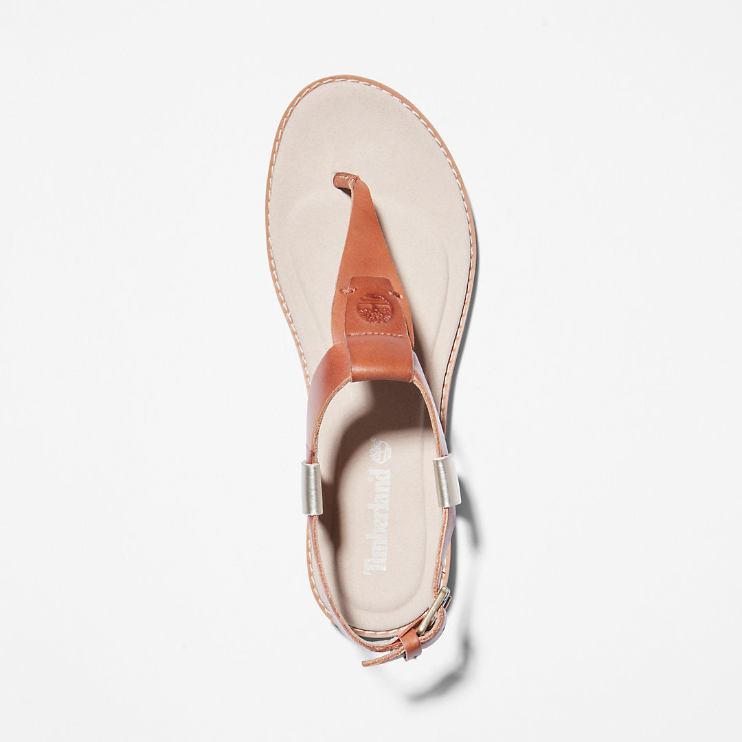 Timberland Womens Chicago Riverside Thong Sandal for Women in Brown