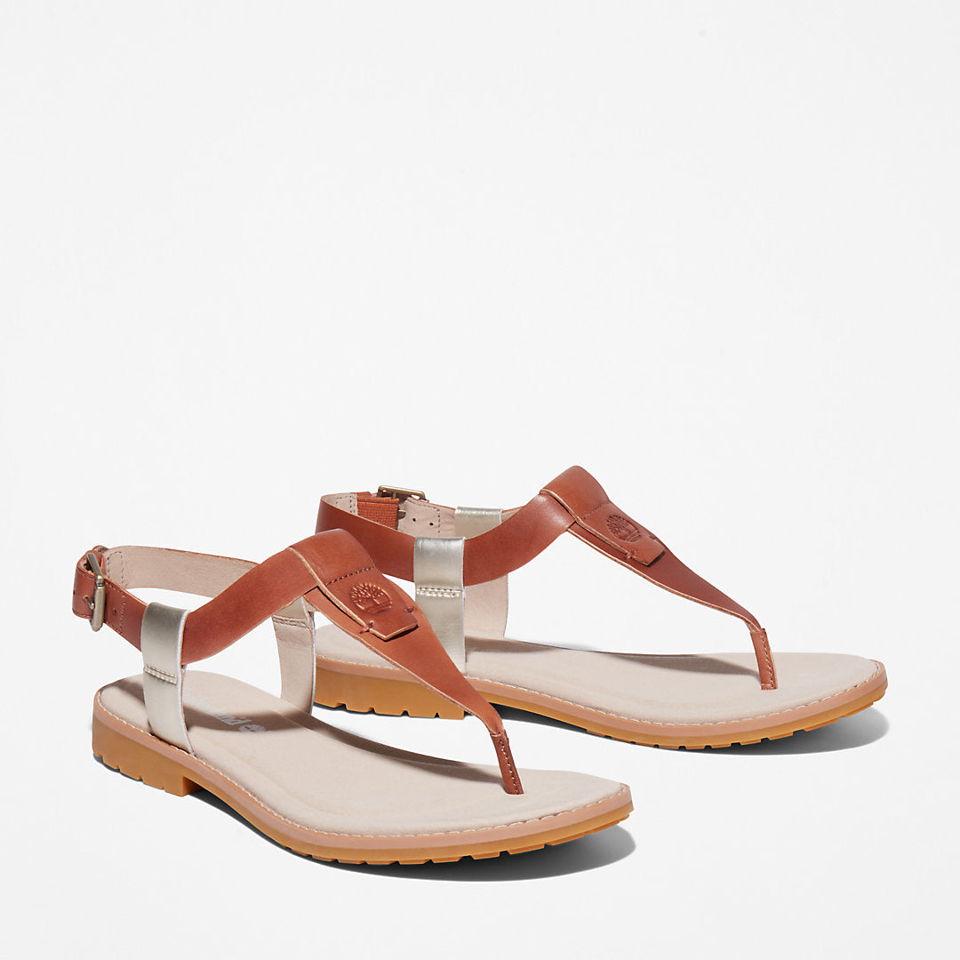Timberland Womens Chicago Riverside Thong Sandal for Women in Brown