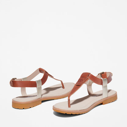 Timberland Womens Chicago Riverside Thong Sandal for Women in Brown