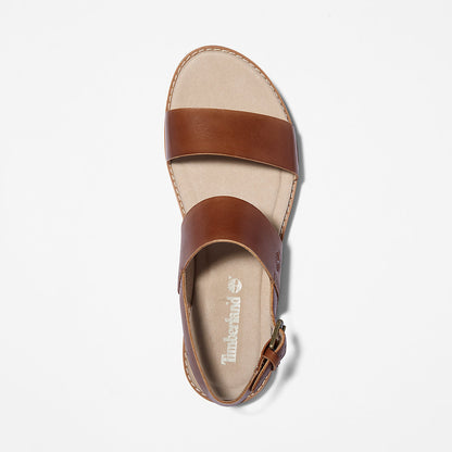Timberland Womens Chicago Riverside Sandal for Women in Brown