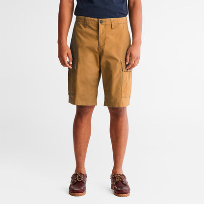 Dark Yellow,28,102