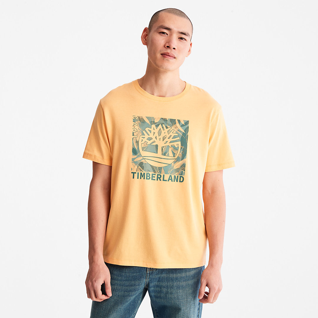 Orange,XXS,54