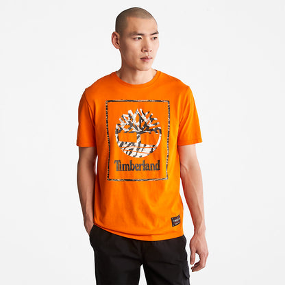 Orange,XXS,48
