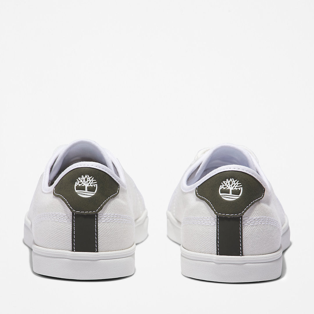 Timberland Mens Skape Park Knit Trainer for Men in White