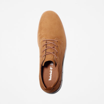 Timberland Mens Bradstreet Sneaker for Men in Brown