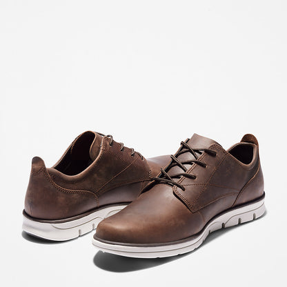 Timberland Mens Bradstreet Sneaker for Men in Dark Brown