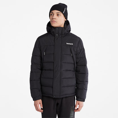 Black,XXS,243