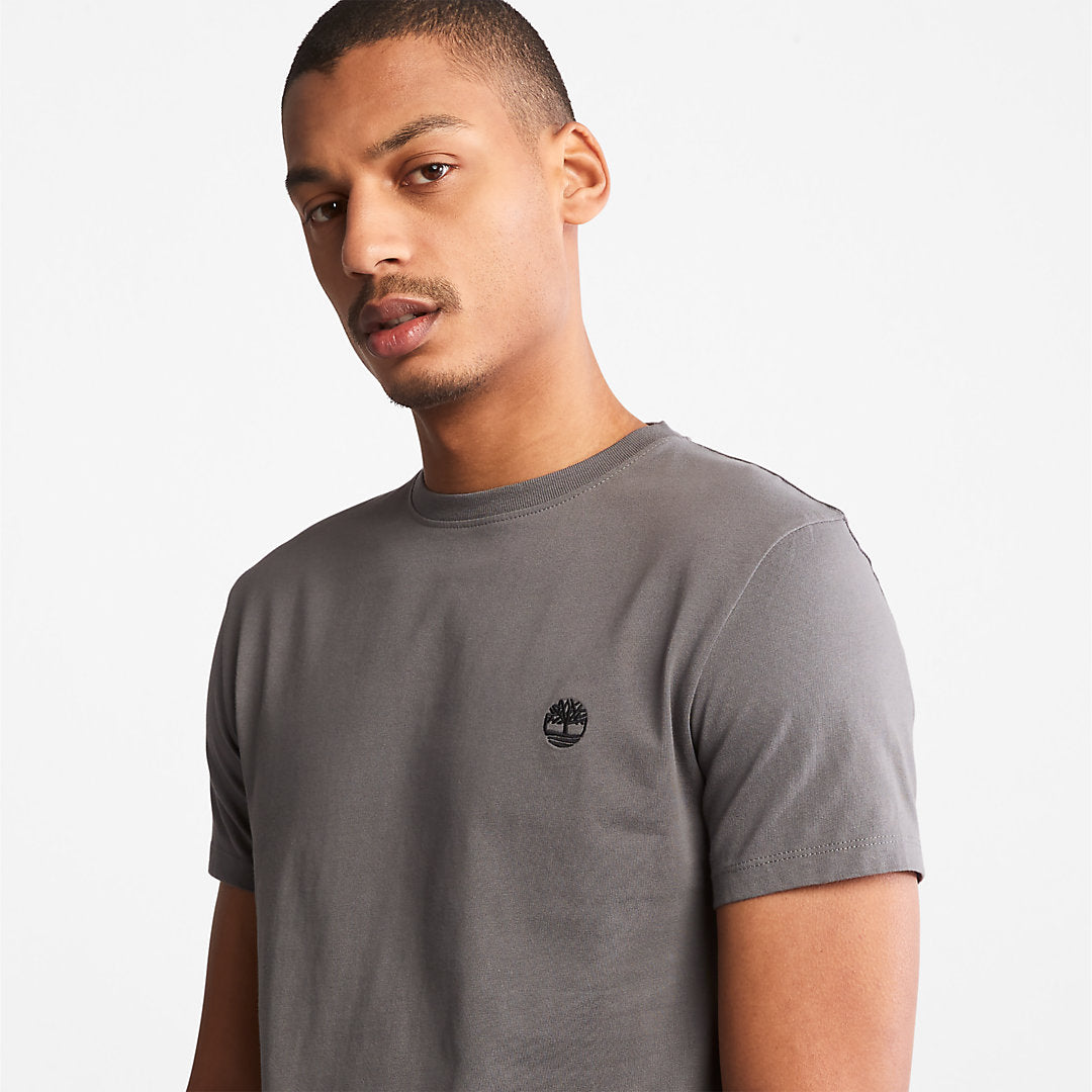 Timberland Mens Dunstan River T-Shirt for Men in Grey