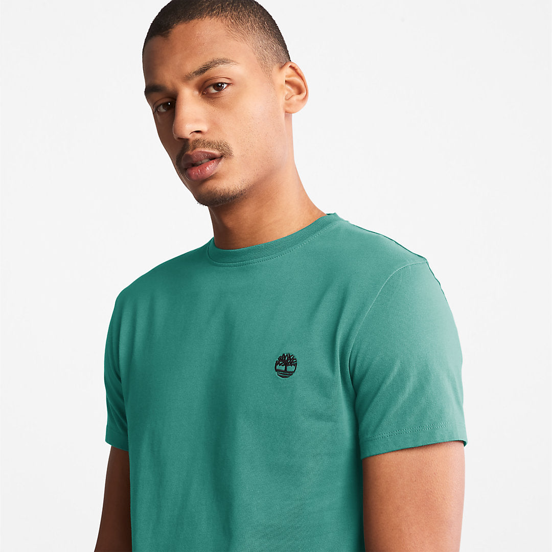 Timberland Mens Dunstan River T-Shirt for Men in Green