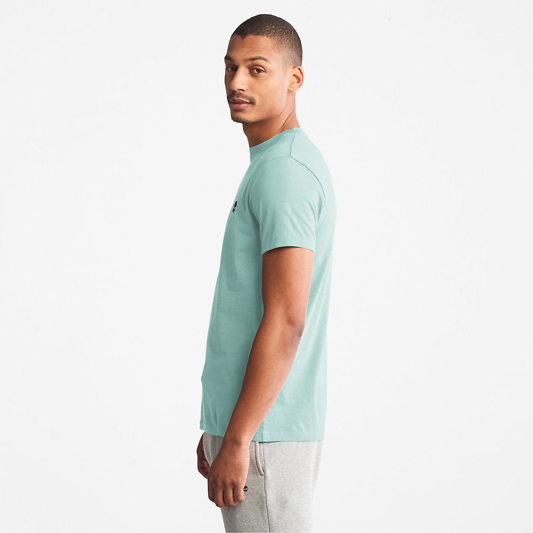 Timberland Mens Dunstan River T-Shirt for Men in Light Green