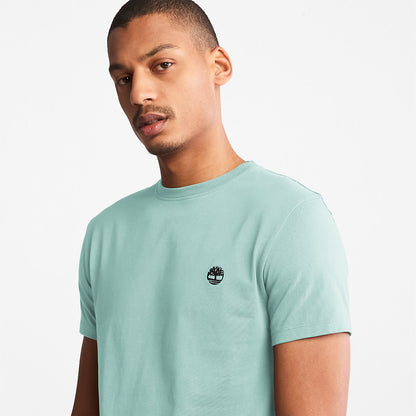 Timberland Mens Dunstan River T-Shirt for Men in Light Green