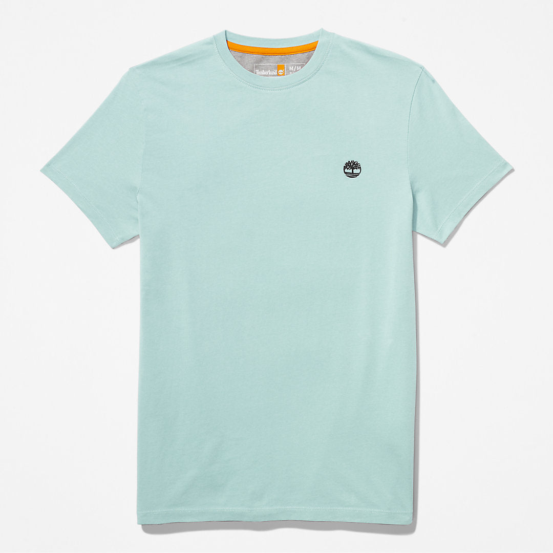 Timberland Mens Dunstan River T-Shirt for Men in Light Green