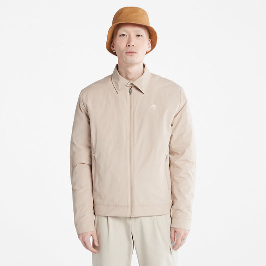 Timberland Mens Men's Stratham Winter Bomber Jacket in Beige