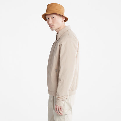 Timberland Mens Men's Stratham Winter Bomber Jacket in Beige