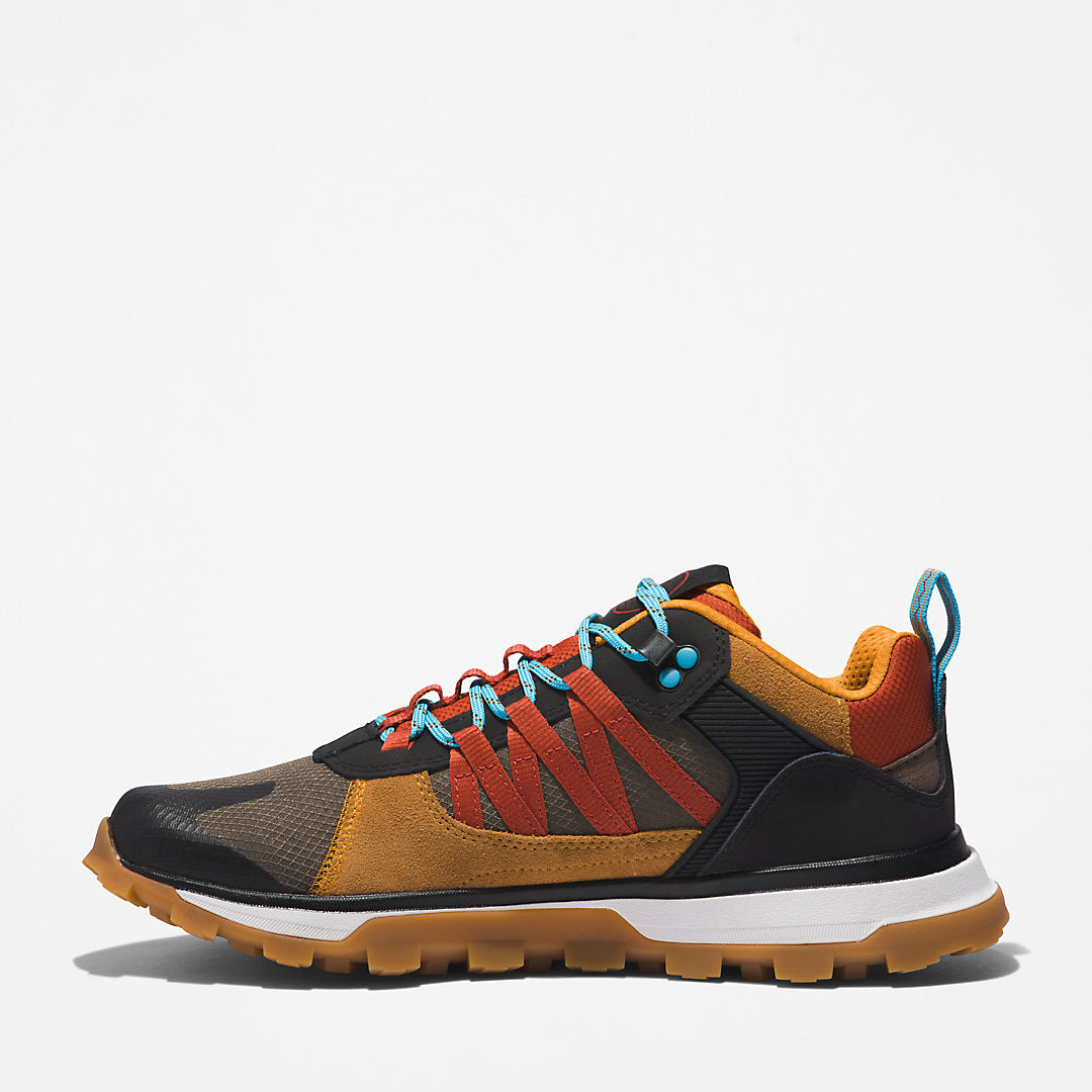 Timberland Mens Treeline STR Trainer for Men in Brown