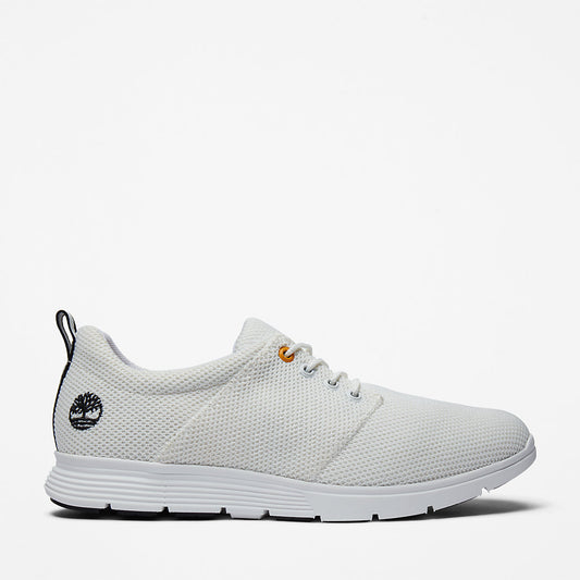 Timberland Mens Killington Oxford Shoe for Men in White