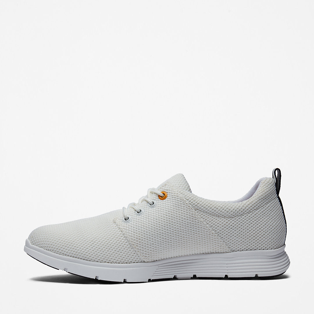 Timberland Mens Killington Oxford Shoe for Men in White