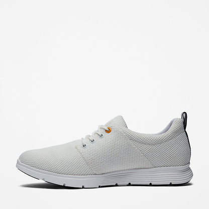 Timberland Mens Killington Oxford Shoe for Men in White