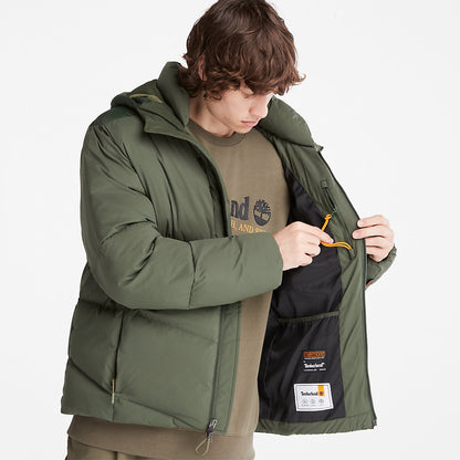 Timberland Mens Neo Summit Winter Jacket for Men in Dark Green