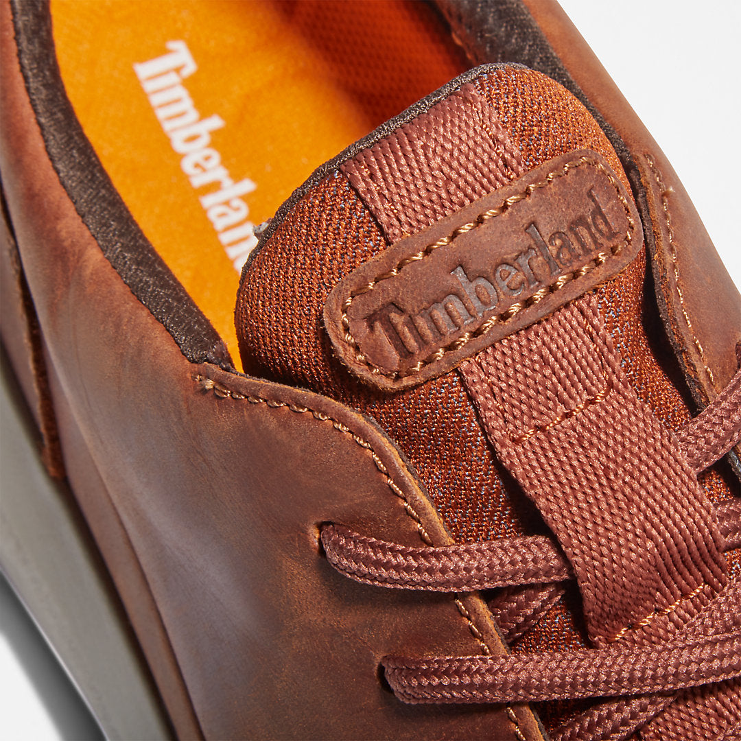 Timberland Mens Bradstreet Ultra Trainer for Men in Brown