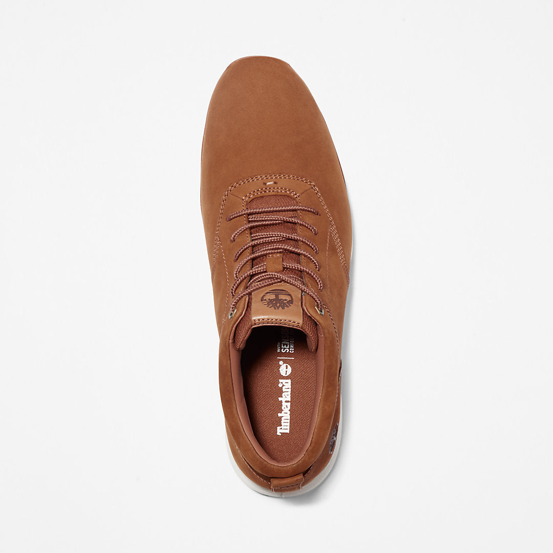 Timberland Mens Killington Sneaker for Men in Brown