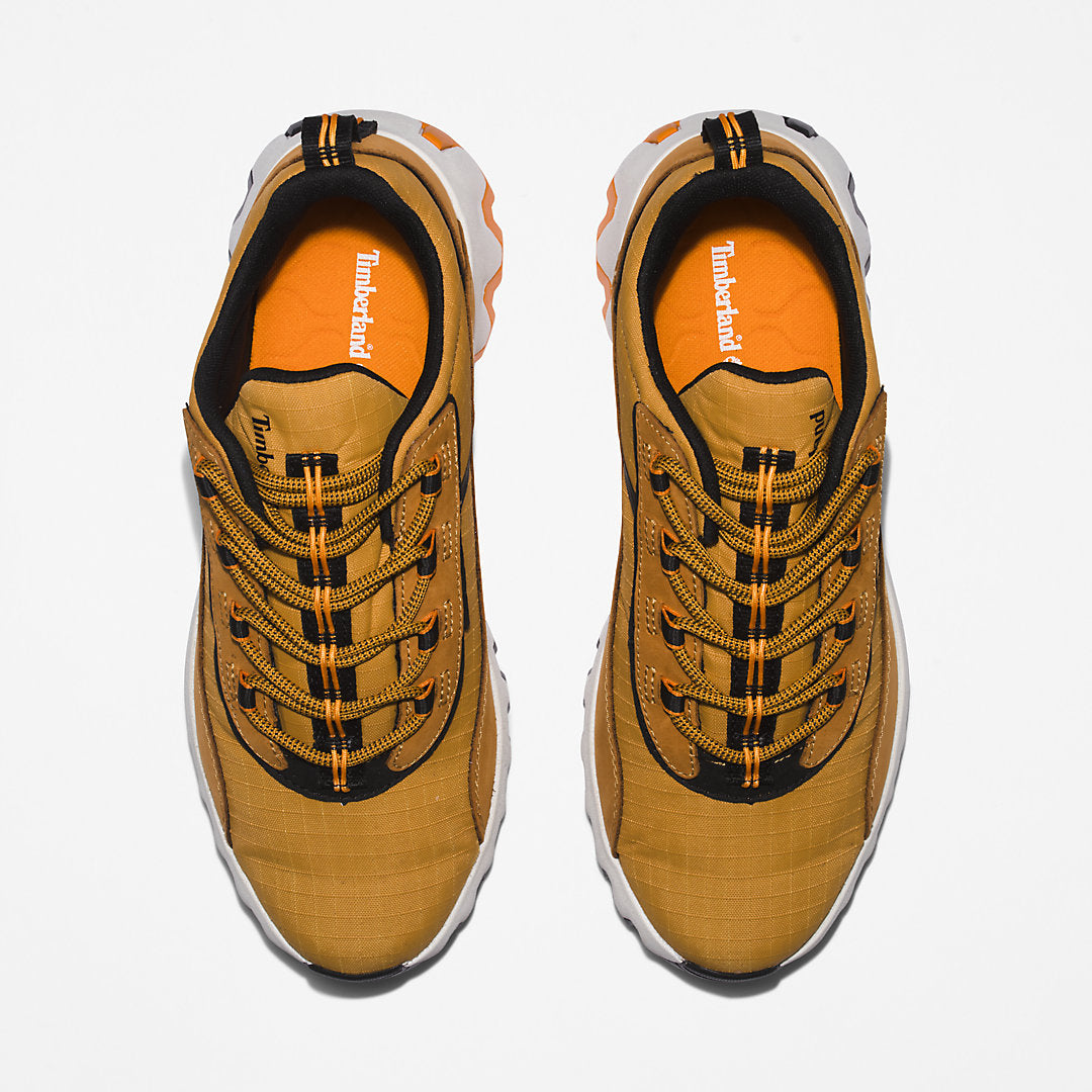 Timberland Mens GreenStride™ TBL® Edge Trainer for Men in Brown