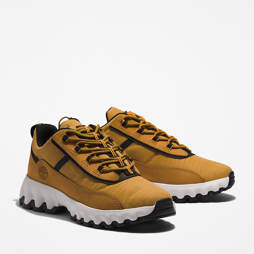 Timberland Mens GreenStride™ TBL® Edge Trainer for Men in Brown