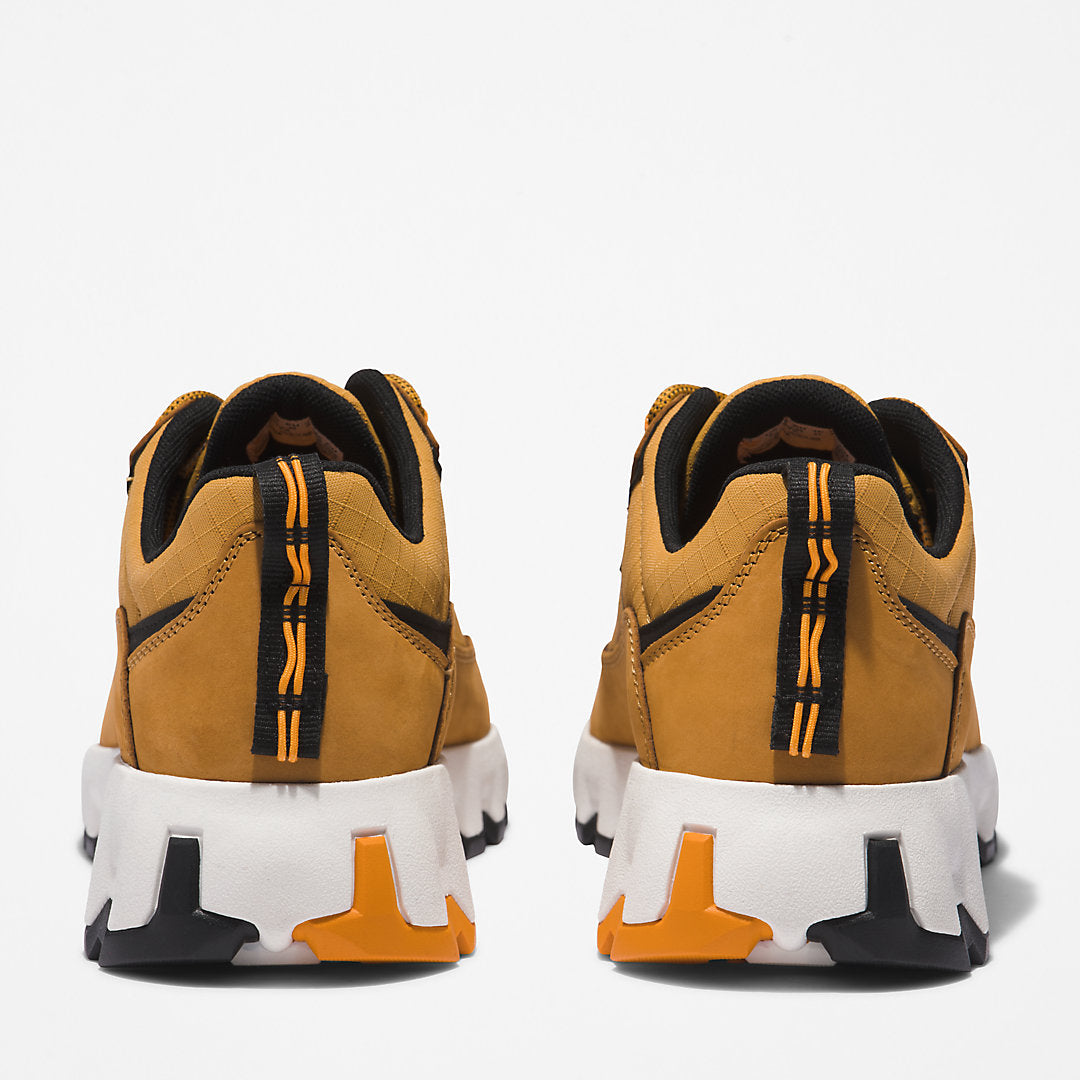 Timberland Mens GreenStride™ TBL® Edge Trainer for Men in Brown