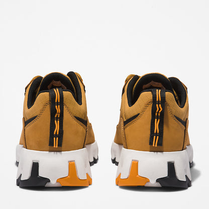 Timberland Mens GreenStride™ TBL® Edge Trainer for Men in Brown