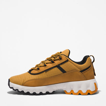 Timberland Mens GreenStride™ TBL® Edge Trainer for Men in Brown