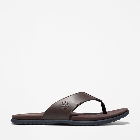 Timberland Mens Kesler Cove Toe-bar Sandal for Men in Dark Brown