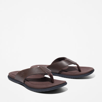 Timberland Mens Kesler Cove Toe-bar Sandal for Men in Dark Brown