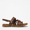 Medium Brown
