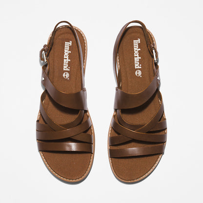 Timberland Womens Chicago Riverside Backstrap Sandal for Women in Brown